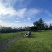 こきの画像