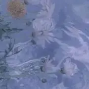 ダリの画像