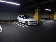 Lotusの画像