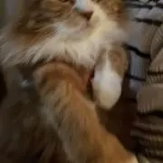 Mの画像