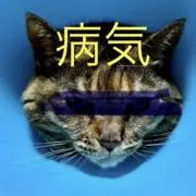 マサ-リの画像