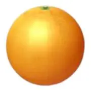 大塚の画像