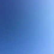 リーの画像
