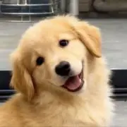 Soraの画像