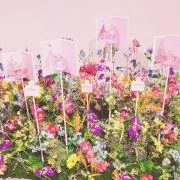 Kazuko1031の画像