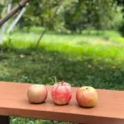 なほ