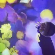 bebe