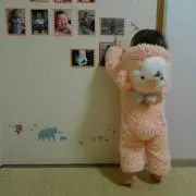 pippiの画像
