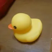 ぴよ