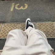 らんちゃんの画像