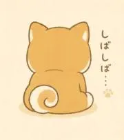 要プロフ確認　値下げコメント不可❎の画像