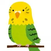 ゆうこ