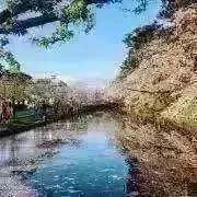 ふわふわ☆の画像