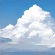 shiroの画像