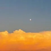 ヤマザキ