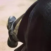 kidの画像