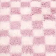 ニシジマの画像