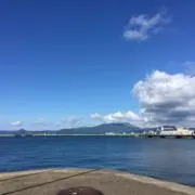 ルイ美豚の画像