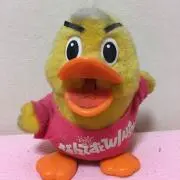 Htの画像
