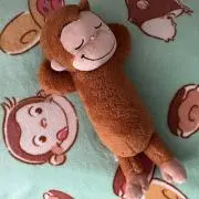 うさ美の画像