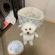 あいうえお
