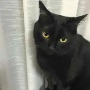 はるみん