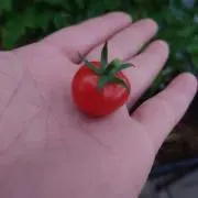 マスプロ 防犯カメラセット WHC10M2 WHC7M2c ◎赤外線不良 - メルカリ