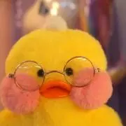 きょんの画像