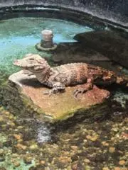 オタクの画像
