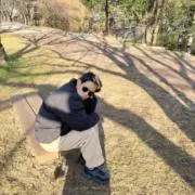 はらちんの画像