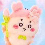 ねこたろうの画像