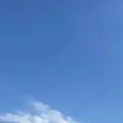 レオン