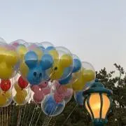 ÿの画像