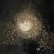 ウッディ【断捨離中】の画像