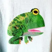 かえるの画像