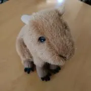 かぴばらの画像