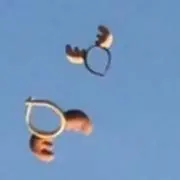 ゆ