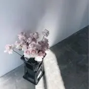 Mの画像