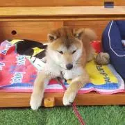 ひろ
