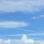 断捨離中( •ω•ฅの画像