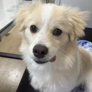 この画像