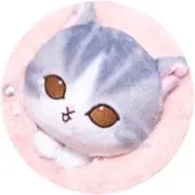 ꒰ঌ♡໒꒱の画像