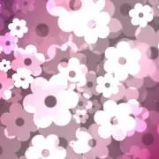 楓の画像