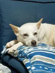 ゆったん