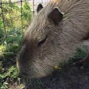 か２のりの画像