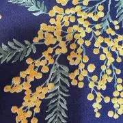 さくらもちの画像