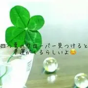 Sunnyの画像