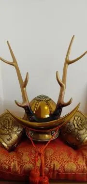よっしーの画像