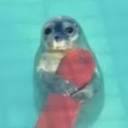 ちぇの画像