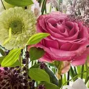 Rosen